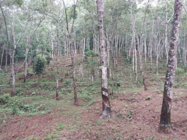 Land for Sale In Kegalle