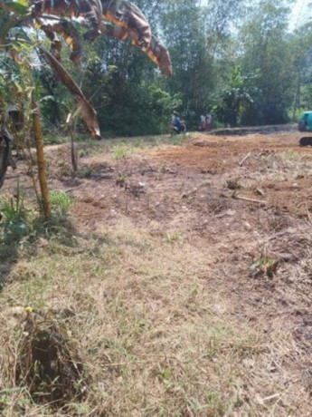 Land for Sale in Rathnapura, Muwagama