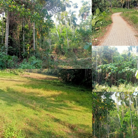 Land with house for sale in beliatta