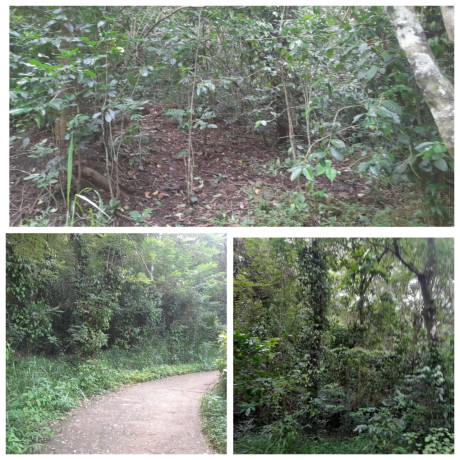 LAND FOR SALE IN UDUDUMBARA